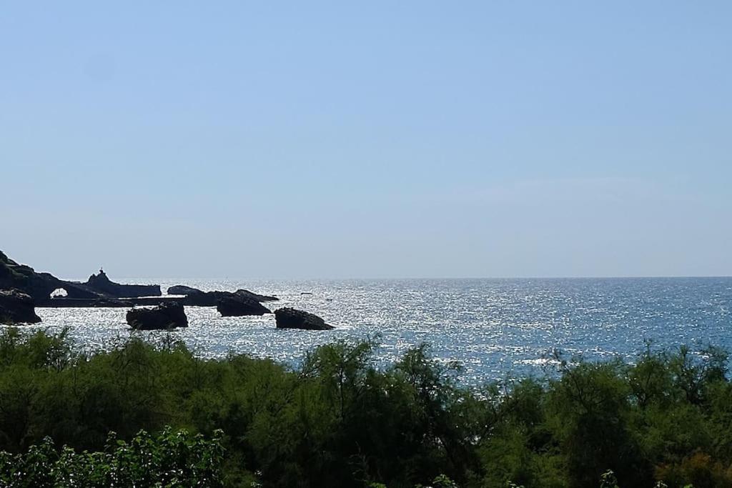 Appartement Le Sahel - Vue Imprenable Sur L'Ocean Biarritz Exterior photo